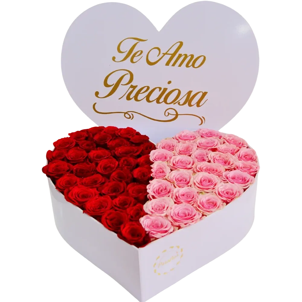 CZ06: Caja de corazón blanca con rosas divididas en dos colores: rojo y rosa vibrante.