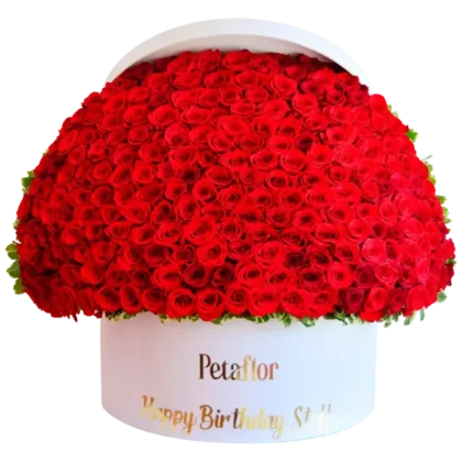 Domo gigante de 200 rosas rojas en caja circular blanca (diseño forma de hongo).