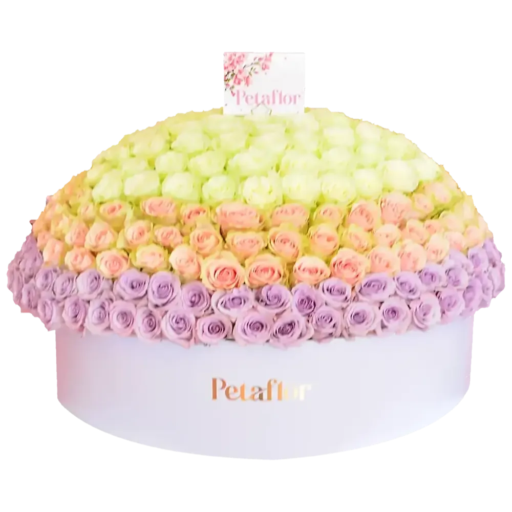 Caja gigante circular con 200 rosas en tonos pastel (blanco, rosa y lila suave).