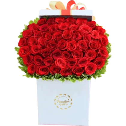 MF04: Caja blanca mediana con 50 rosas rojas premium y follaje natural.