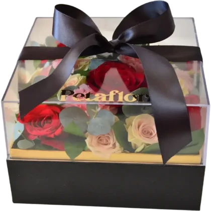 MF05: Caja de madera con tapa acrílica transparente, rosas rojas y mini rosas.