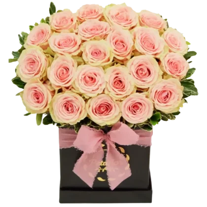 MF10: Caja cuadrada negra pequeña con 25 rosas rosadas de tallo corto.