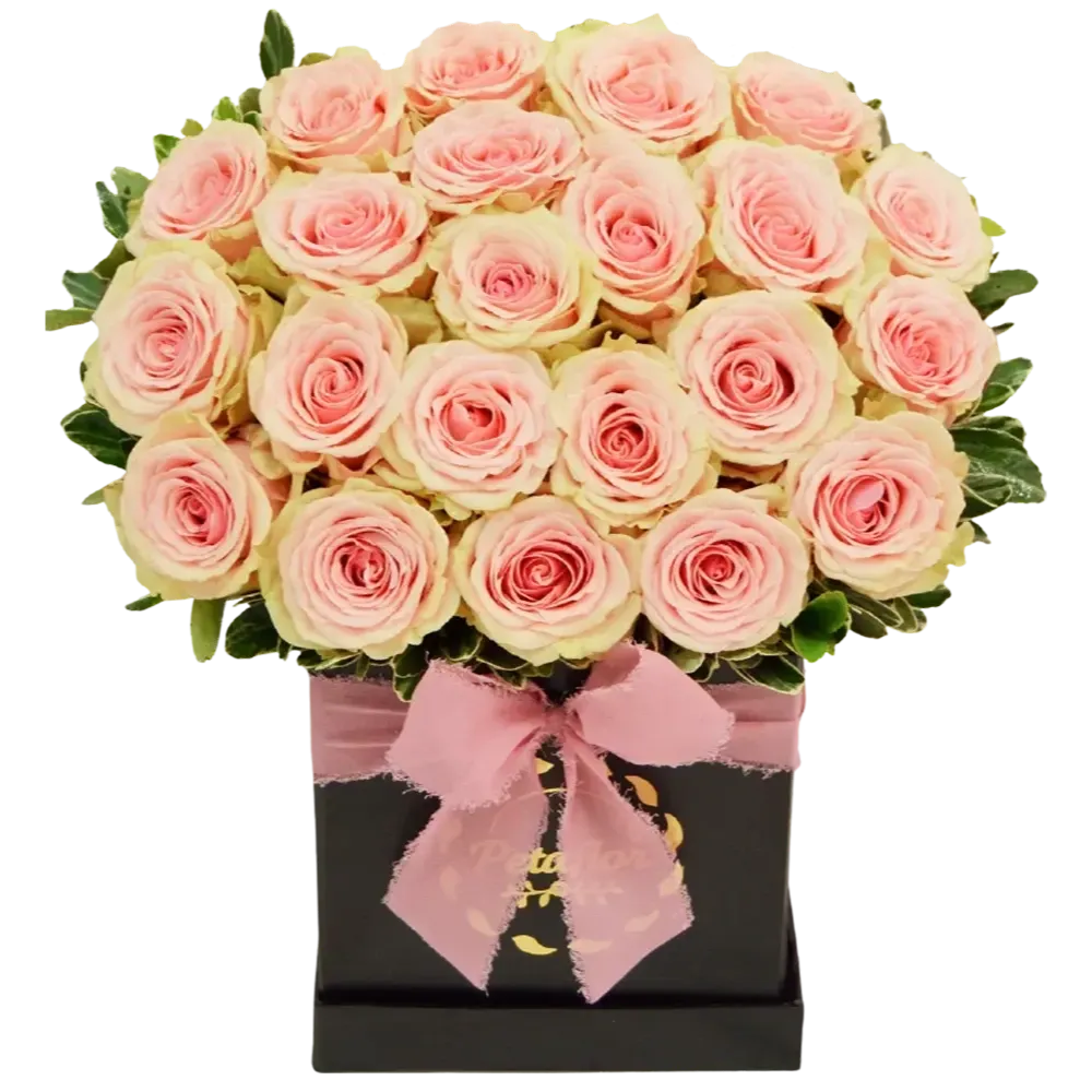 MF10: Caja cuadrada negra pequeña con 25 rosas rosadas de tallo corto.