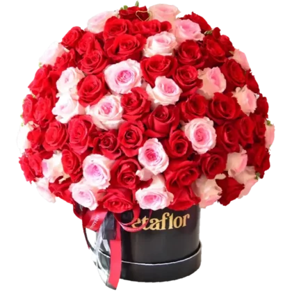 MF13: Caja circular blanca con domo denso de rosas rojas y rosas en dos tonos.