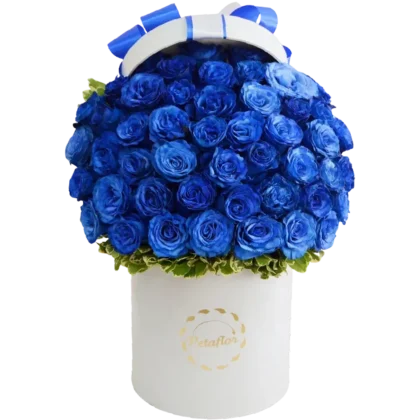MF14: Caja circular blanca con 50 rosas azules eléctricas (teñidas).