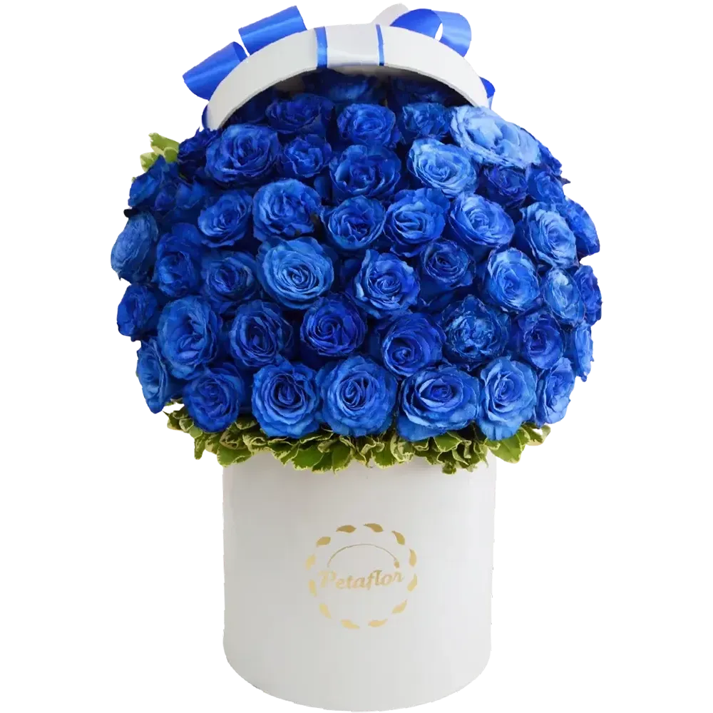 MF14: Caja circular blanca con 50 rosas azules eléctricas (teñidas).