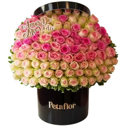 MF15: Caja negra circular con 100 rosas en tonos rosa pastel y fucsia.