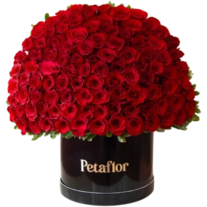 MF16: Caja circular negra elegante con 100 rosas rojas intensas.