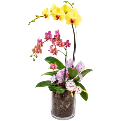 AR08 - Arreglo de Orquídeas en Cristal