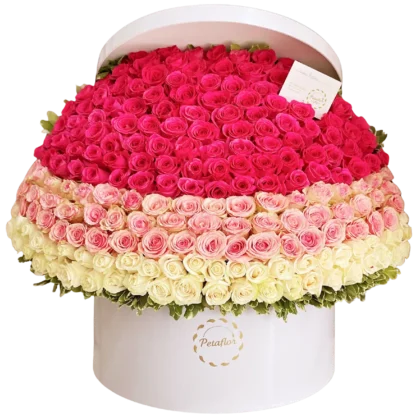 EX02 - Arreglo Gigante 200 Rosas Degradado Rosado