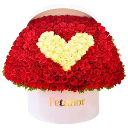 EX03 - Arreglo Gigante 200 Rosas Forma de Corazón