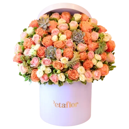 FB08 - Flower Box 50 Rosas, Mini Rosas y Suculentas