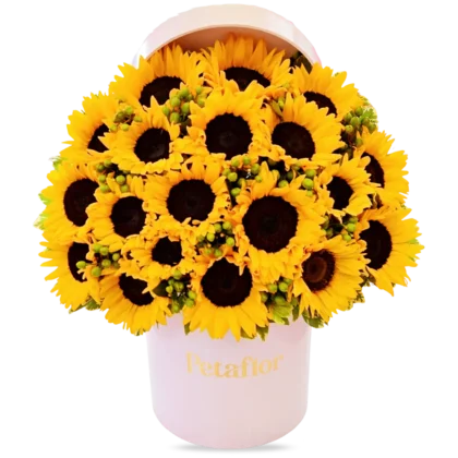 FB13 - Flower Box de Girasoles