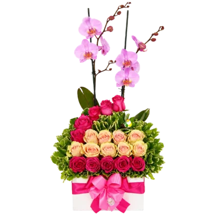 MDF02 - Caja MDF Orquídea y 19 Rosas