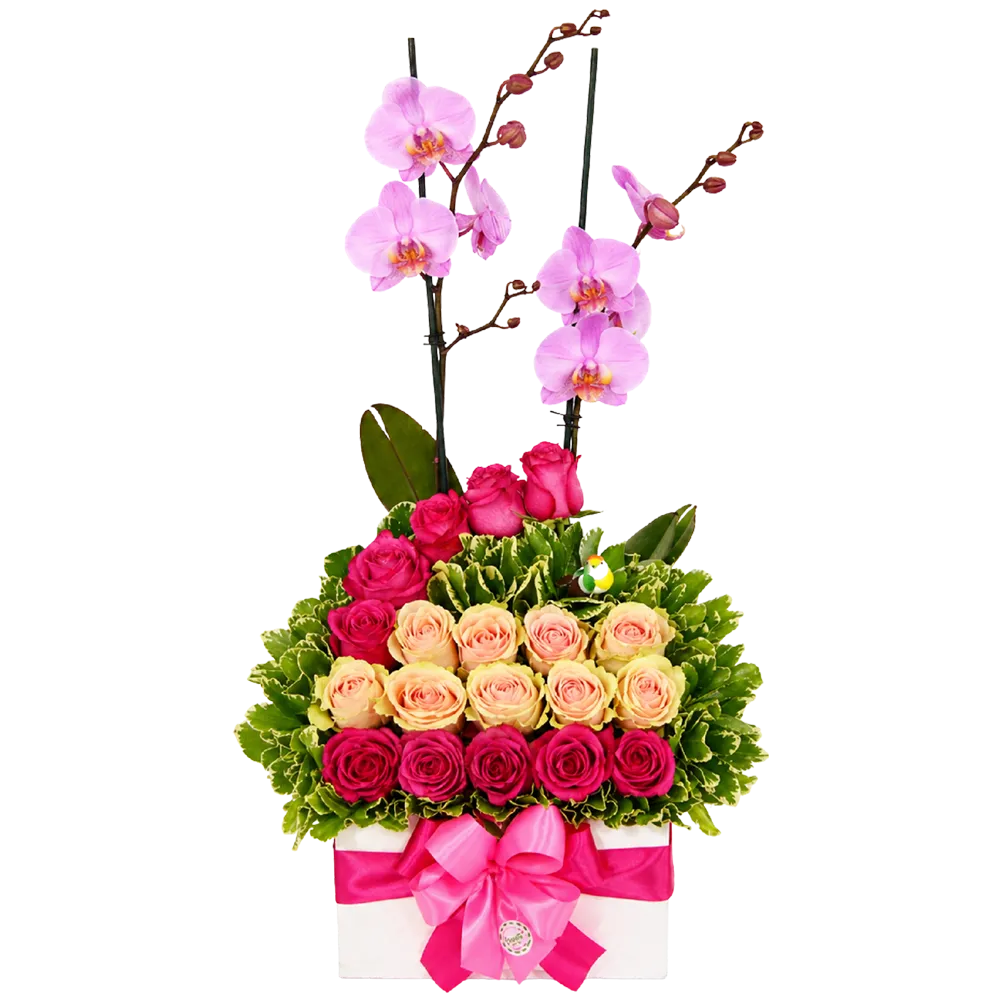 MDF02 - Caja MDF Orquídea y 19 Rosas