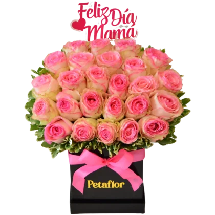 MF05 - Mini Flower Box 25 Rosas