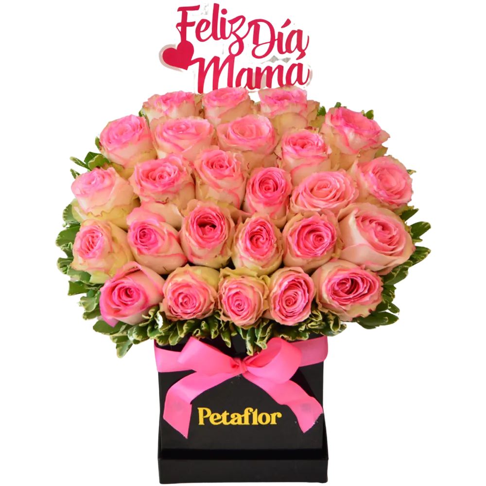MF05 - Mini Flower Box 25 Rosas