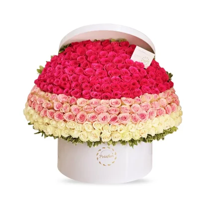 EX03 - Exclusivo Big Flower Box caja 22x22 pulg