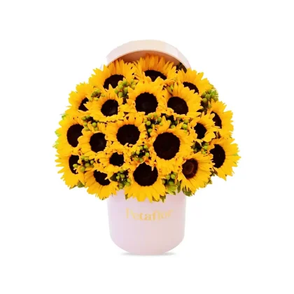 FB04 - Caja circular decorada con 21 girasoles