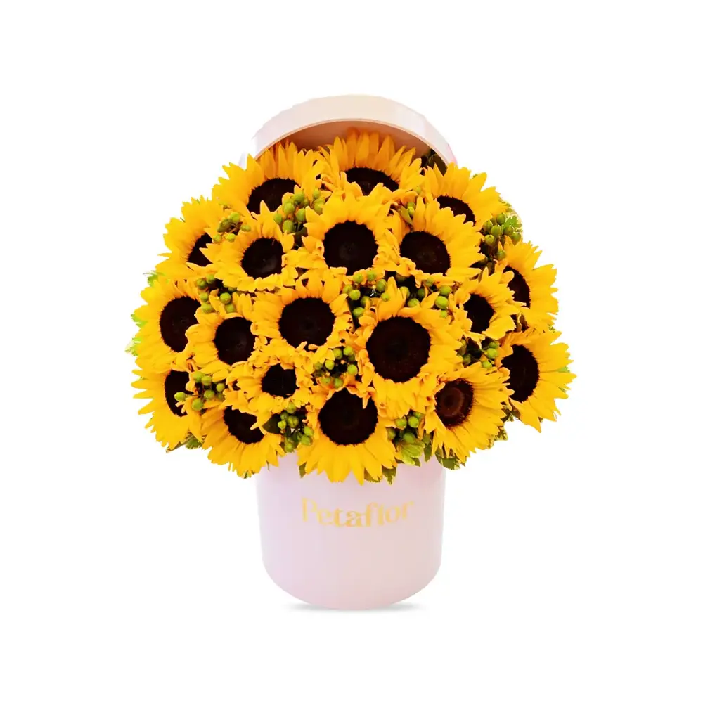 FB04 - Caja circular decorada con 21 girasoles