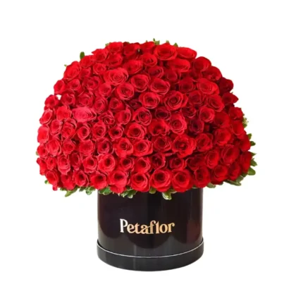 FB13 - Flower Box de 100 rosas