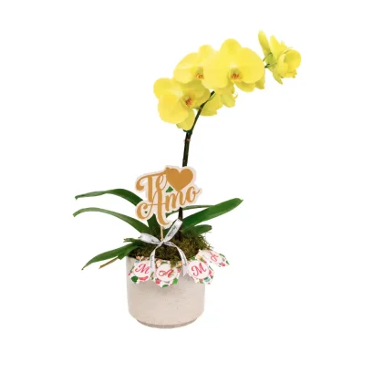 MDF06 - Maceta con Orquídea