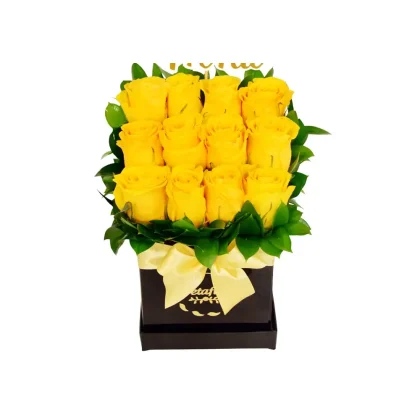MF01 - Mini Flower Box de 12 rosas